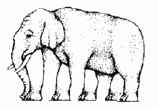 Dessin d'éléphant