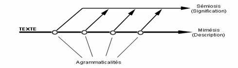 Schéma de la genèse de la signifiance